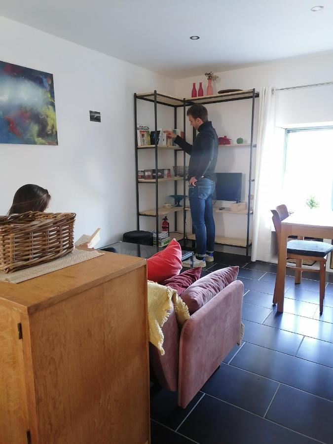Gite La Maison La Saint-Aubin-d'Aubigne Luaran gambar